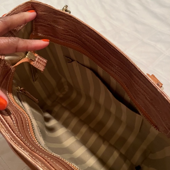 Brahmin - Picture 9 of 9